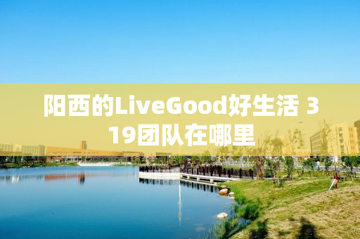 阳西的LiveGood好生活 319团队在哪里