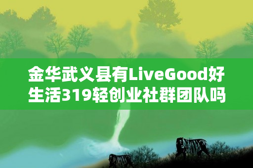 金华武义县有LiveGood好生活319轻创业社群团队吗