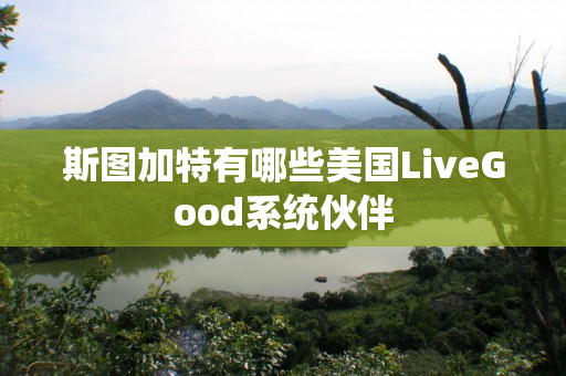 斯图加特有哪些美国LiveGood系统伙伴