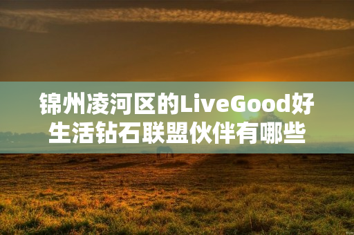 锦州凌河区的LiveGood好生活钻石联盟伙伴有哪些