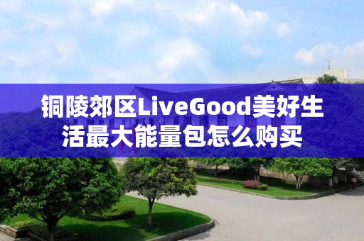 铜陵郊区LiveGood美好生活最大能量包怎么购买