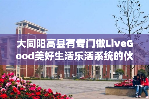 大同阳高县有专门做LiveGood美好生活乐活系统的伙伴吗