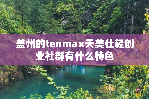 盖州的tenmax天美仕轻创业社群有什么特色