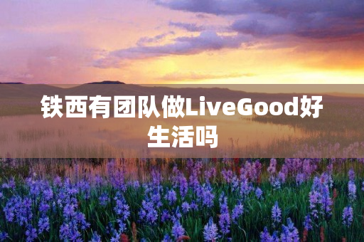 铁西有团队做LiveGood好生活吗