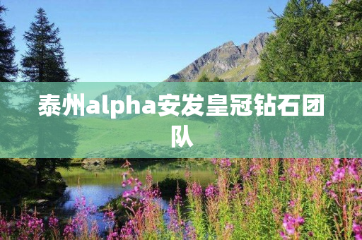 泰州alpha安发皇冠钻石团队