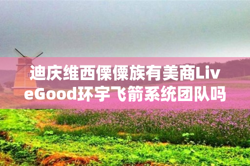 迪庆维西傈僳族有美商LiveGood环宇飞箭系统团队吗