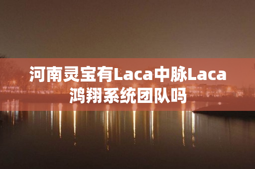 河南灵宝有Laca中脉Laca鸿翔系统团队吗