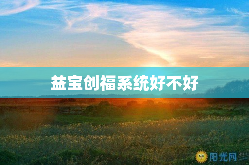 益宝创福系统好不好