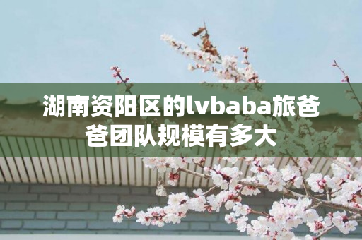 湖南资阳区的lvbaba旅爸爸团队规模有多大