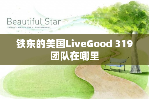 铁东的美国LiveGood 319团队在哪里