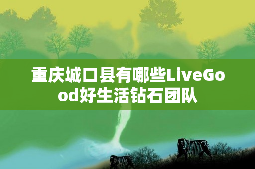 重庆城口县有哪些LiveGood好生活钻石团队