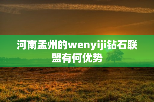 河南孟州的wenyiji钻石联盟有何优势