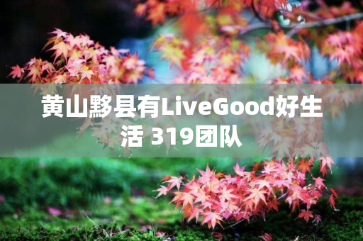 黄山黟县有LiveGood好生活 319团队