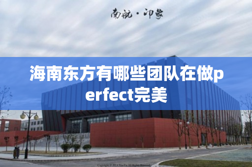 海南东方有哪些团队在做perfect完美