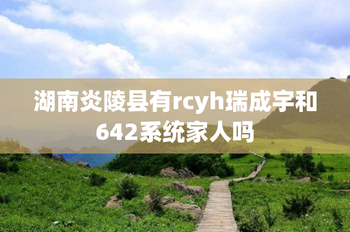 湖南炎陵县有rcyh瑞成宇和642系统家人吗