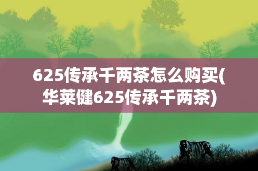 625传承千两茶怎么购买(华莱健625传承千两茶)