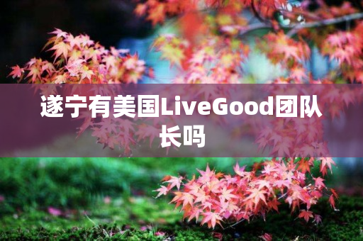 遂宁有美国LiveGood团队长吗