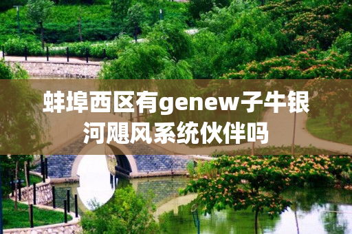 蚌埠西区有genew子牛银河飓风系统伙伴吗