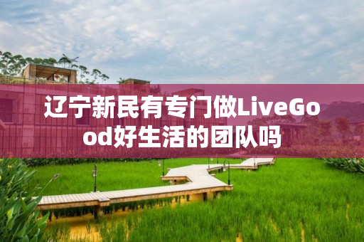 辽宁新民有专门做LiveGood好生活的团队吗