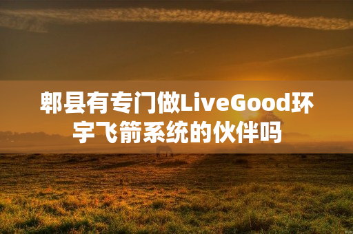 郫县有专门做LiveGood环宇飞箭系统的伙伴吗