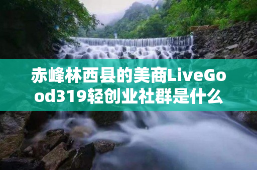 赤峰林西县的美商LiveGood319轻创业社群是什么