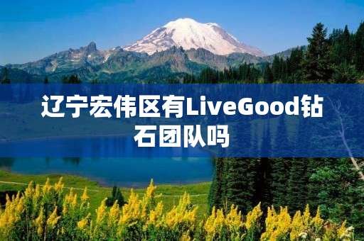 辽宁宏伟区有LiveGood钻石团队吗