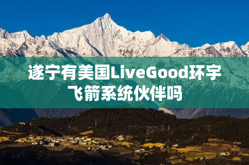 遂宁有美国LiveGood环宇飞箭系统伙伴吗