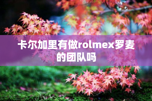 卡尔加里有做rolmex罗麦的团队吗