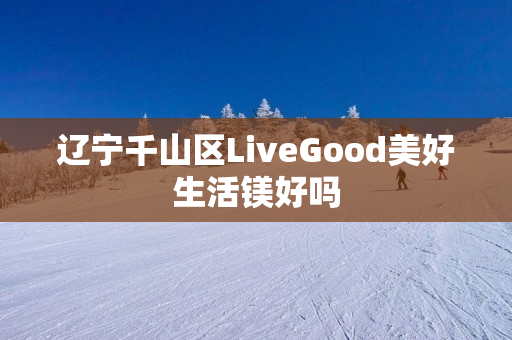 辽宁千山区LiveGood美好生活镁好吗