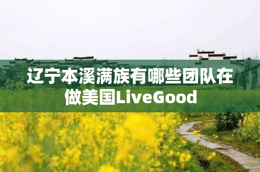 辽宁本溪满族有哪些团队在做美国LiveGood