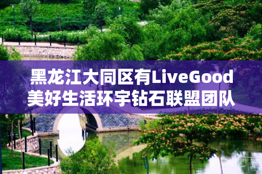 黑龙江大同区有LiveGood美好生活环宇钻石联盟团队吗