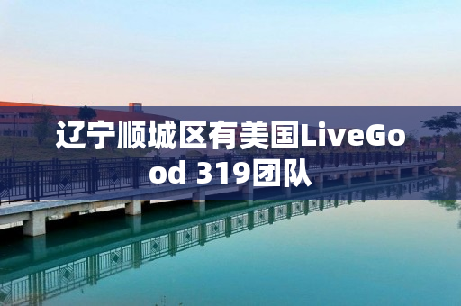 辽宁顺城区有美国LiveGood 319团队