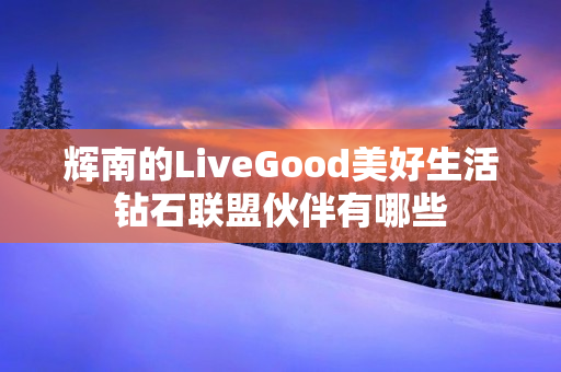 辉南的LiveGood美好生活钻石联盟伙伴有哪些