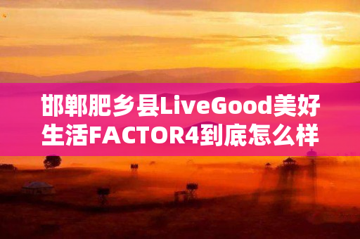 邯郸肥乡县LiveGood美好生活FACTOR4到底怎么样