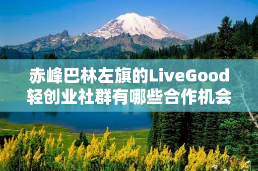 赤峰巴林左旗的LiveGood轻创业社群有哪些合作机会