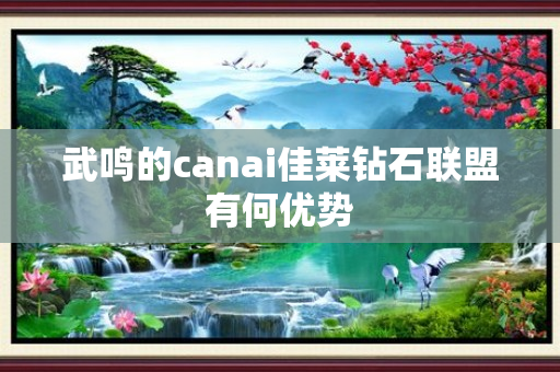 武鸣的canai佳莱钻石联盟有何优势