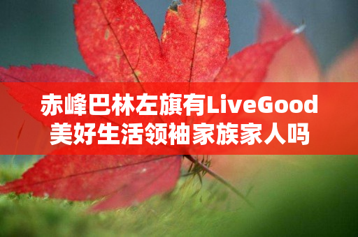 赤峰巴林左旗有LiveGood美好生活领袖家族家人吗