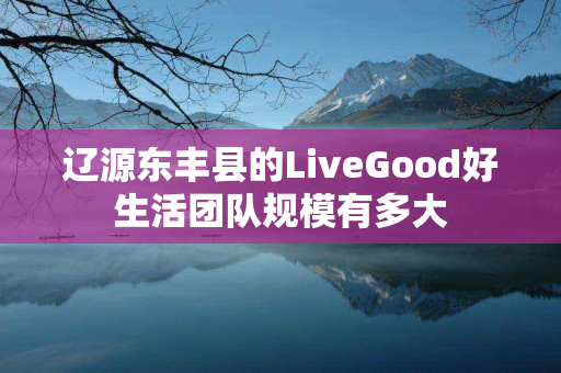 辽源东丰县的LiveGood好生活团队规模有多大