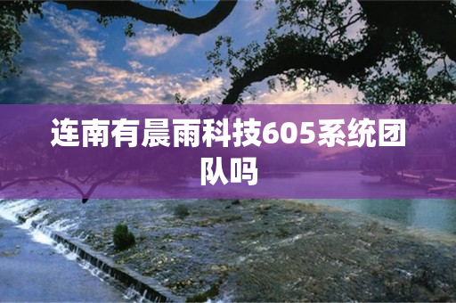 连南有晨雨科技605系统团队吗