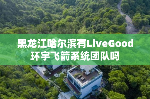 黑龙江哈尔滨有LiveGood环宇飞箭系统团队吗