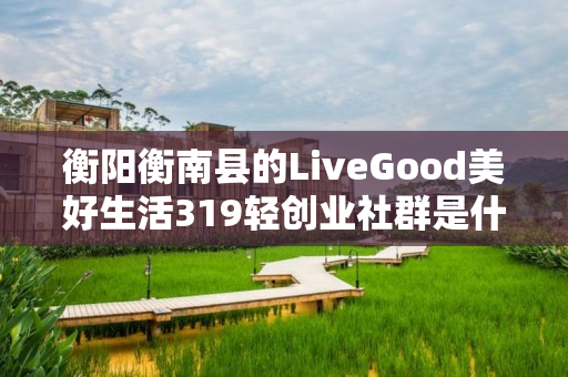 衡阳衡南县的LiveGood美好生活319轻创业社群是什么