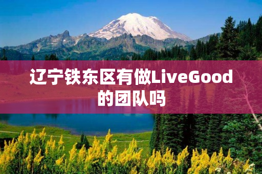 辽宁铁东区有做LiveGood的团队吗