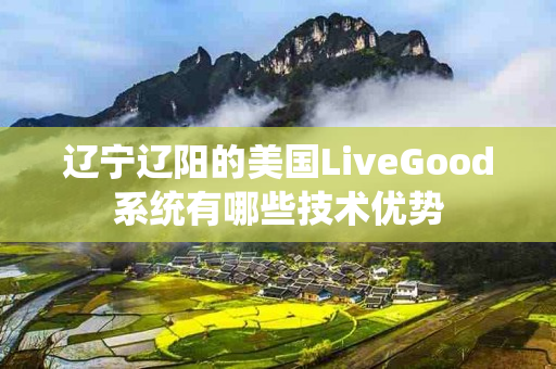 辽宁辽阳的美国LiveGood系统有哪些技术优势