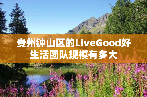 贵州钟山区的LiveGood好生活团队规模有多大