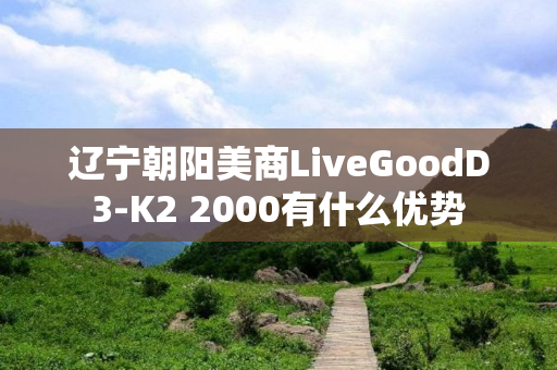 辽宁朝阳美商LiveGoodD3-K2 2000有什么优势