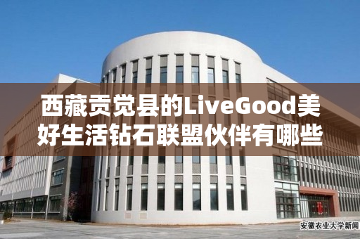 西藏贡觉县的LiveGood美好生活钻石联盟伙伴有哪些