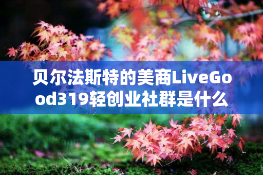 贝尔法斯特的美商LiveGood319轻创业社群是什么