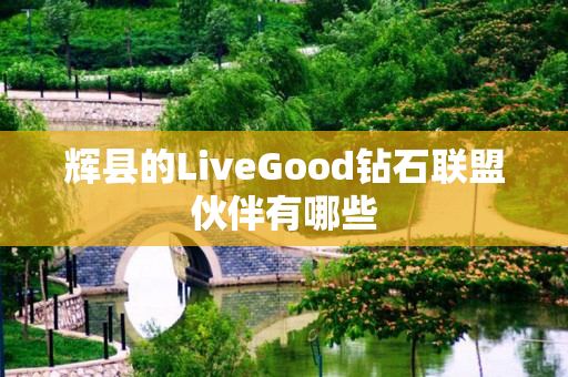 辉县的LiveGood钻石联盟伙伴有哪些