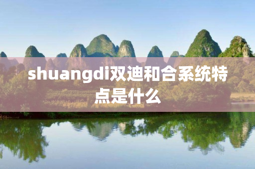 shuangdi双迪和合系统特点是什么