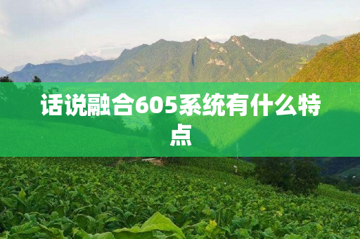 话说融合605系统有什么特点